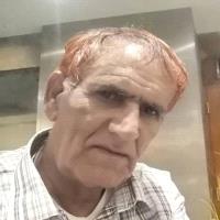 العميد زين الشيبة