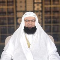 فيصل المفلحي