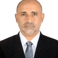 نبيل شجاع الدين