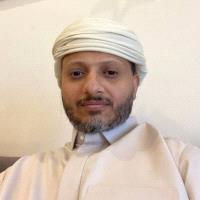 عمرو أحمد المجيدي