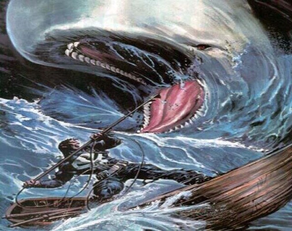 موبي ديك رواية مترجمة لـهيرمن ميلفايل –الفصل الثالث