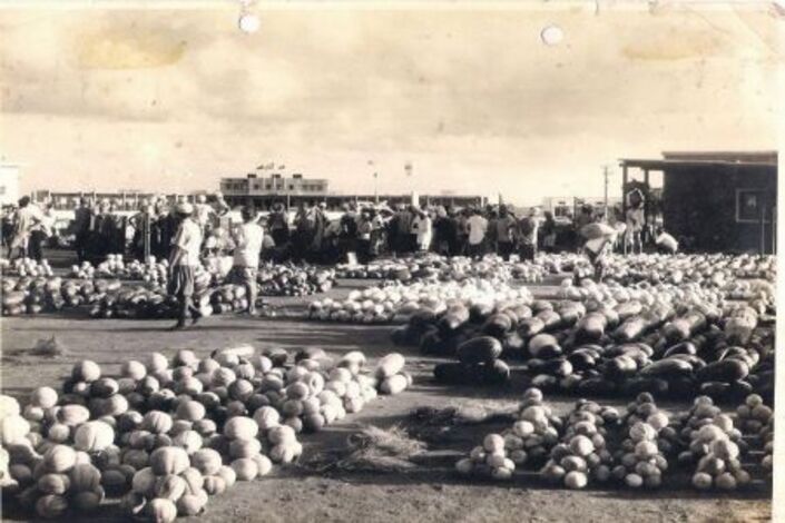 عدن زمان : حبحب سويس والحجة فطوم