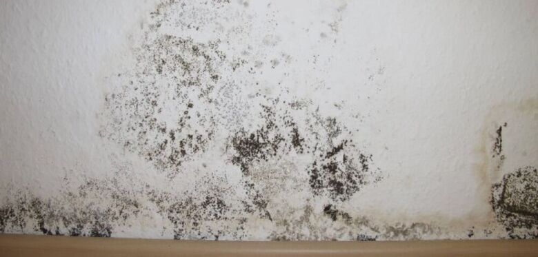 10 طرق للتخلص من الرطوبة في المنزل