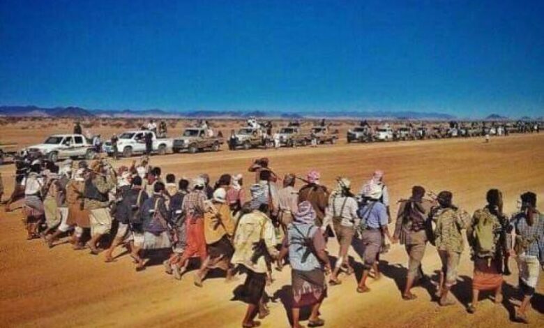 قــراءة في اجتــمــاع العوالق اكبـر قـبائل الجــنوب ((انتصار -واهدف))