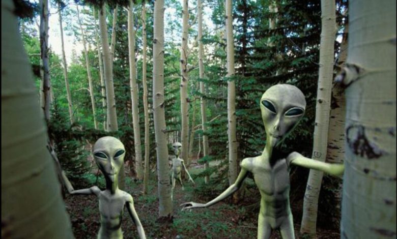 المخلوقات الفضائية موجودة وضخمة!