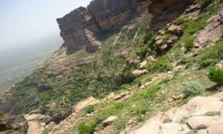 مشائخ وشخصيات اجتماعية بالصبيحة يؤكدون وقوفهم الى جانب العميد السروري