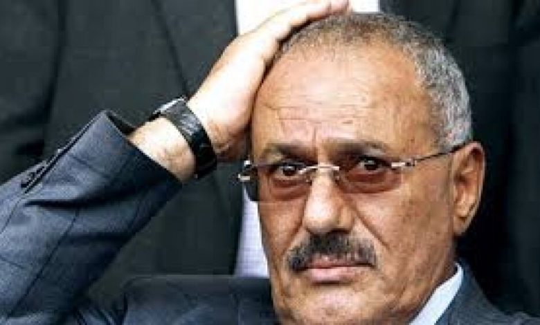 بالأرقام والتفاصيل خبير اقتصادي: يكشف حجم ثروة الرئيس المخلوع علي عبدالله صالح في أكثر من بلد