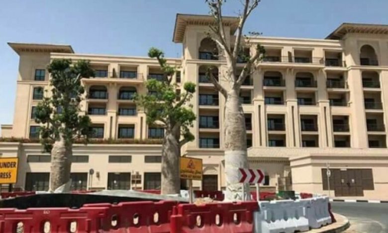 وزير الإعلام يحسم الجدل و يكشف حقيقة صورة شجرة دم الأخوين في الإمارات