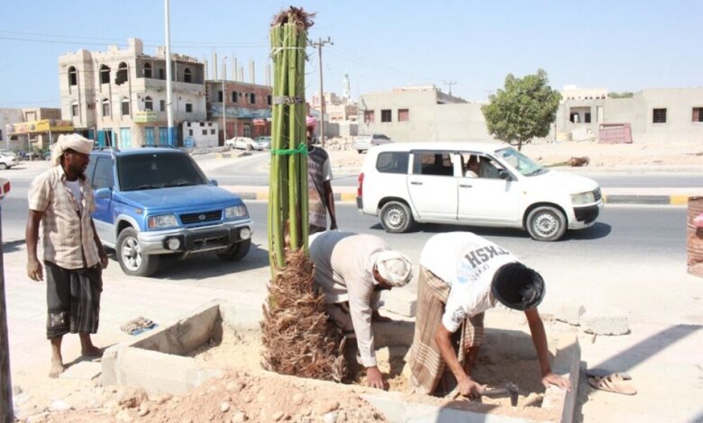 تدشين مشروع " تزين وتشجير مداخل مدينة الشحر بغرس النخيل المرحلة الأولى "