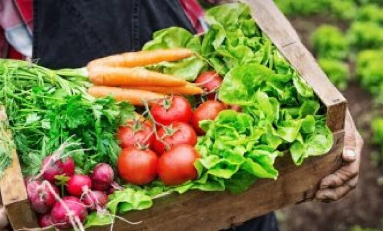 فيتامين ك يحميك من الأمراض ويقوى العضلات