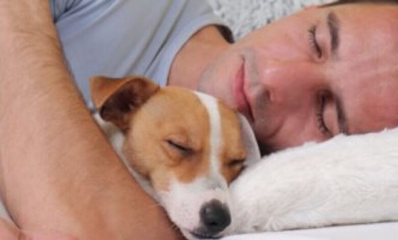 النوم أكثر من 8 ساعات يومياً أو أقل من 6 يضر الأوعية الدموية