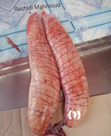 الفوائد الصحية لبيض الأسماك