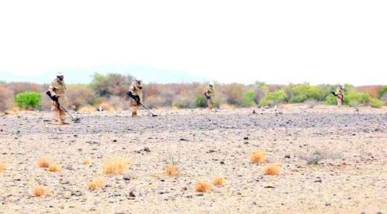 «مسام»: نزع 1336 لغماً زرعها الحوثي في اليمن